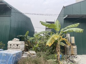 bán đất dịch vụ tại xã lại yên, hoài đức, hà nội, giá thỏa thuận, 123 m2