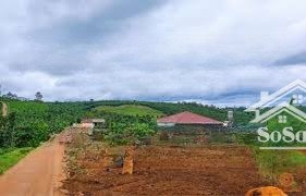 đất lộc an thế đất cao, khu dân cư hiện hữu