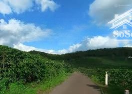 lô đất lộc an sổ riêng, khu dân cư kín, vị trí đẹp