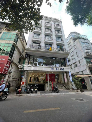 bán 70 chdv quang trung - lợi nhuận 7.2% - sẵn hđt 300tr/th dòng tiền sẵn, khai thác ngay - 49.9 tỷ