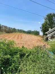 đất tân văn thổ cư nhiều, phù hợp xây biệt thự vườn