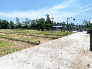 còn nền cuối an đô - hương chữ 480 triệu