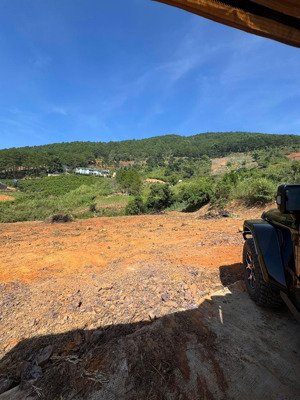 bán đất view toàn cảnh thị trấn nam ban và rừng thông siêu dưỡng lành