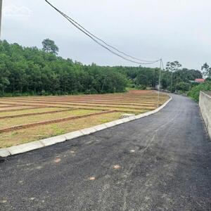 Bán đất An Bình, Lạc Thủy – kết nối Ba Sao Hà Nam & Bái Đính Ninh Bình – giá từ 195 triệu