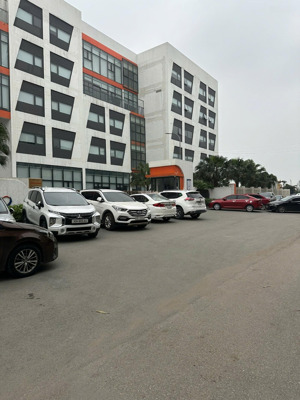 bán đất tái định cư tu hoàng vị trí đẹp, trục chính. dt 65m2. liên hệ: 