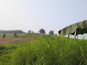 lô đất ba vì thích hợp đầu tư-xây dựng khuân viên nghỉ dưỡng-thế đất thoải nhẹ-không khí trong lành