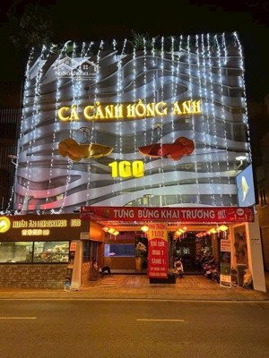 xuất cảnh bán gấp - bán nhà mặt tiền đào duy anh 181.5m² 5 tầng - 75 tỷ