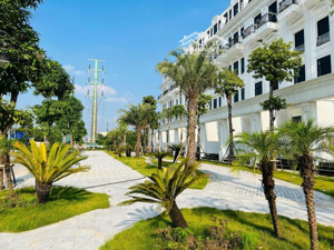 bán quỹ căn hàng ngoại giao và hàng ký mới của cdt dự án louis hoàng mai. htls 0% và chiết khấu tts