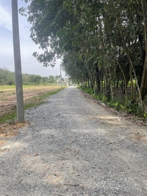 chính chủ bán đất 60m2 odt hoà lợi, bình dương