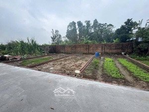 bán đất tại xã mai đình, sóc sơn, hà nội, giá 1 tỷ xx, 46.2m2 bao đẹp hot!