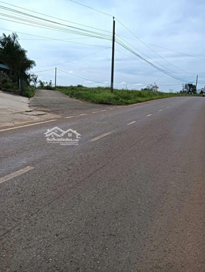 bán đất 150m2 tại xã hoà bắc, di linh, lâm đồng, giá ưu đãi 1,75 tỷ