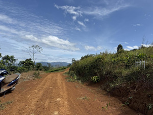 bán gấp lô tại xã hoà bắc, di linh, lâm đồng, 1,15 tỷ