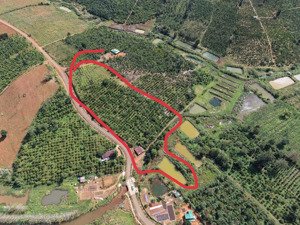 cần bán trước tết vị trí đẹp 180m mặt tiền nhựa