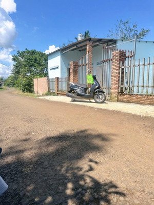 chính chủ bán gấp lô 110m2 tại xã hoà ninh, di linh, lâm đồng chỉ với 1,3 tỷ vnd