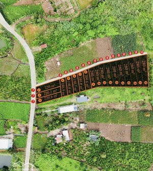 cần bán lốc 18 nền ( mới ra lò f0 ) ngay quốc lộ 20, gần sân bay liên khương , cách tp đà lạt 40km