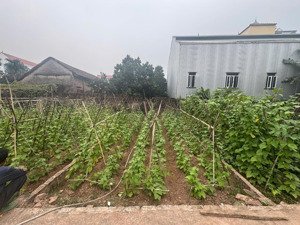 cần bán lô đất đẹp xã liên minh, hà nội- diện tích nhỏ xinh, sát đường tỉnh lộ 417 đang mở rộng