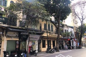 chính chủ tôi cần bán gấp nhà biệt thự phố tràng thi tổng dt:287m2/2tầng,giá bán trước tết 219tỷ