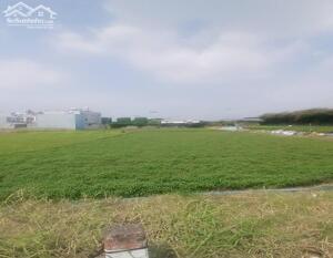 Bán đất mặt tiền Lê Thị Mai (XTT 6 cũ), Xuân Thới Sơn, Hóc Môn, 3803m2, ngang 42m, giá rẻ.