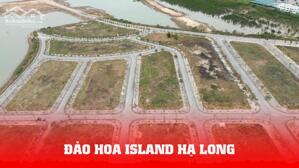 Bán 2 ô đất biệt thự Đảo Hoa Island sát nhau, diện tích 300m2, hướng Nam, giá chỉ 60 triệu/m2