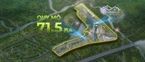 mùa lễ hội - suất nội bộ - giỏ hàng đa dạng nhất - chính sách tốt nhất từ cđt lh: 