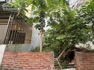 BÁN ĐẤT TÂN XÃ HÒA LẠC GẦN CNC, FPT DHQG, NHU CẦU THUÊ CAO XÂY CCMN LUÔN KÍN PHÒNG''