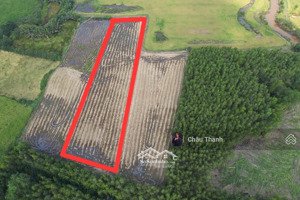 ngộp ! 3000m2 cấn đường, gần cầu cát lái, dự án phú mỹ hưng