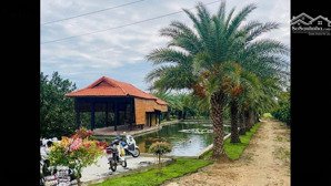 bán đất làm nhà vườn nghỉ dưỡng cách trung tâm sài gòn chỉ hơn 1 giờ di chuyển