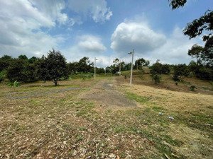 hàng hiếm lộc an 2 lô 2 mặt tiền sát ql20 200m, vị trí đẹp khó tìm - giá tổng 1.130 tỷ