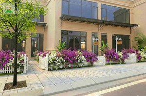 căn ngoại giao fecon phổ yên shophouse 