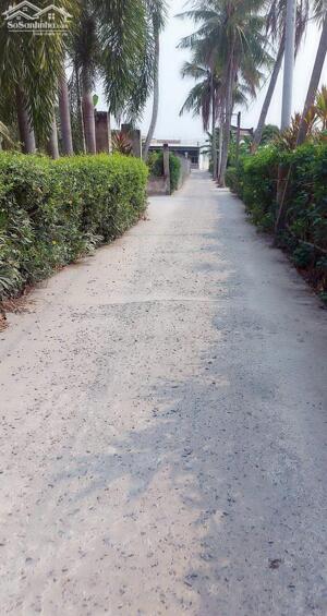 BÁN NHANH ĐẤT 115M2 CHỢ ĐÀO, LONG HÒA, CẦN ĐƯỚC, LONG AN, 1 tỷ 200 triệu, SHR