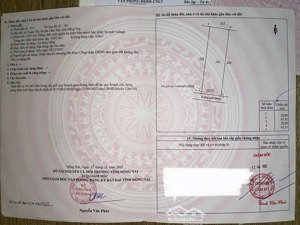 1300m2 ấp 12 xã xuân tây - cẩm mỹ, gần đường nhựa lớn, mặt tiền bê tông 20m, khu dân cư