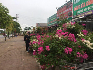 độc quyền siêu phẩm đất vàng đối diện aeon mall long biên mặt tiền 14m đường 45m