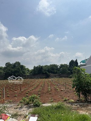 qsdđ thuộc thửa đất số 460, tờ bản đồ số 35 tại khu phố 3, phường tân thành, thành phố hồ chí minh