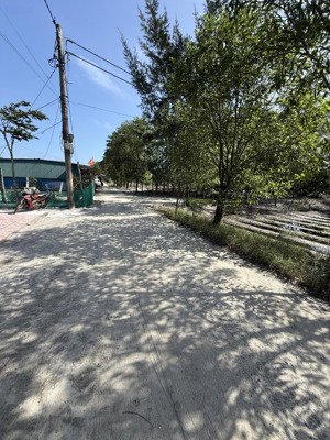 bán đất đẹp tại xã nam cửa việt, quảng trị, giá thỏa thuận, 165m2