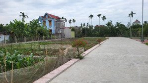 26 lô bát trang - an lão - hải phòng