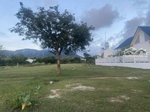 chính chủ cần bán đất nông nghiệp 1994m2, ngay sảnh cưới hạnh nữ, nhơn hải. giá 2 tỷ thương lượng