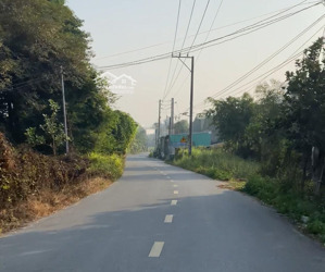 bán đất nhà 1.5ha, trong khu dân cư đông đúc