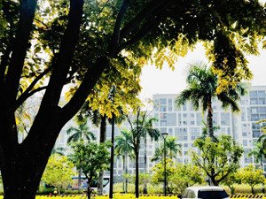 cần bán gấp ch 73 m2 - giá 1.9 tỷ sổ hồng sẵn - ehome southgate