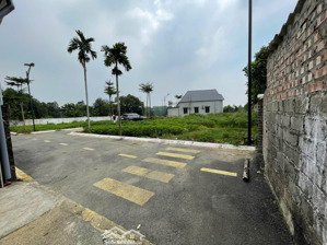 chính chủ bán gấp 117m2 ở dt 420, sau trường mần non bình yên, thạch thất. giá siêu hời 32 tr/m2