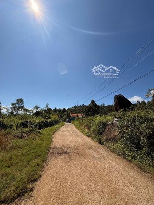 bán lô đất 17.000m2 tại lộc thành - bảo lâm 3 | hơn 100m mặt đường nhựa - kdc, đất quy hoạch thổ cư