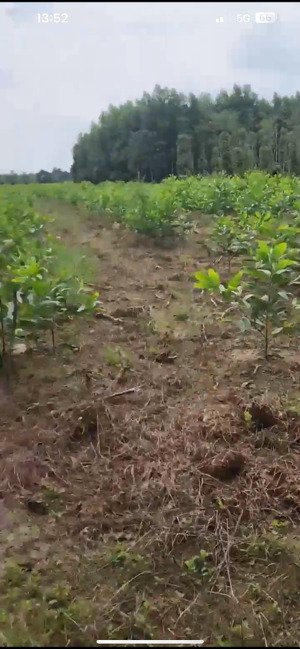 cần bán nhanh 6,4 sào đất dự án hồ chứa nước sông ray 2. lh 