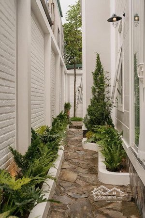 bán biệt thự phố từ hoa 126m2 view ks sheraton, 5 tầng thang máy, mặt tiền 12m. giá 135 tỷ