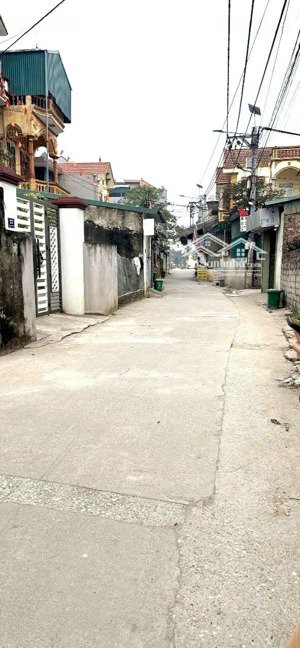 bán lô f0 dt 100m2 trục chính dương tảo - hồng vân - hà nội. kinh doanh đỉnh