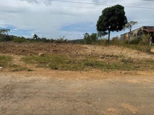 ea sin- krông búk- đắk lắk dt 23*69m sẵn 400m2 thổ cư tự do mặt tiền đường nhựa quy hoạch 27m 999tr