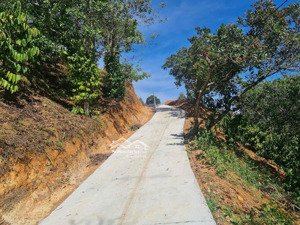 chính chủ bán đất vườn sổ hồng riêng tp. gia nghĩa, đắk nông