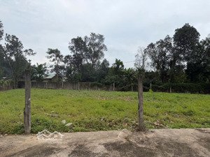 bán đất nền diện tích 127m2 tdp xuân phú. phường hòa khánh. đường ô tô 5m