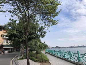 bán đất lạc long quân - 183m - đất - mt 6.5m - 54 tỷ - vị trí đẹp - ô tô tránh - sổ đẹp vuông .