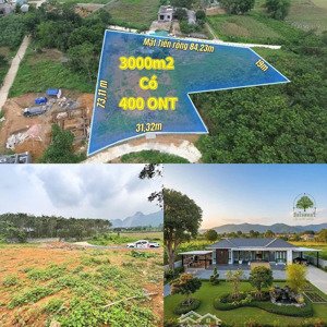 siêu phẩm nghỉ dưỡng tiềm năng sinh lời