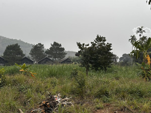 bán đất tại yên bài, ba vì, hà nội, 13,663 tỷ, 2102 m2, giá đầu tư f0