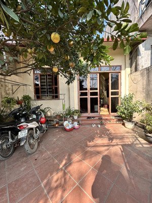 chính chủ bán đất sen phương sổ đỏ nở hậu khu vực yên tĩnh